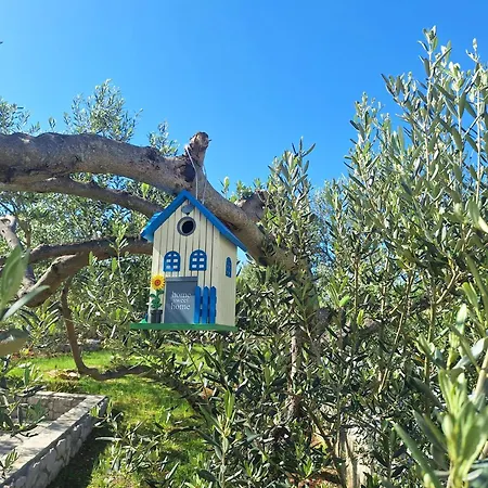 Apartmán Olive Trees Jezera